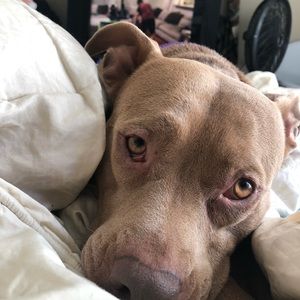 Meet your Posher, Hanna